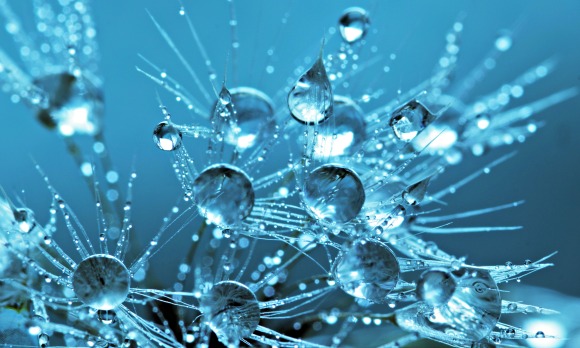 agua-limpiar-liquido-extracelular